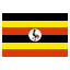country flag